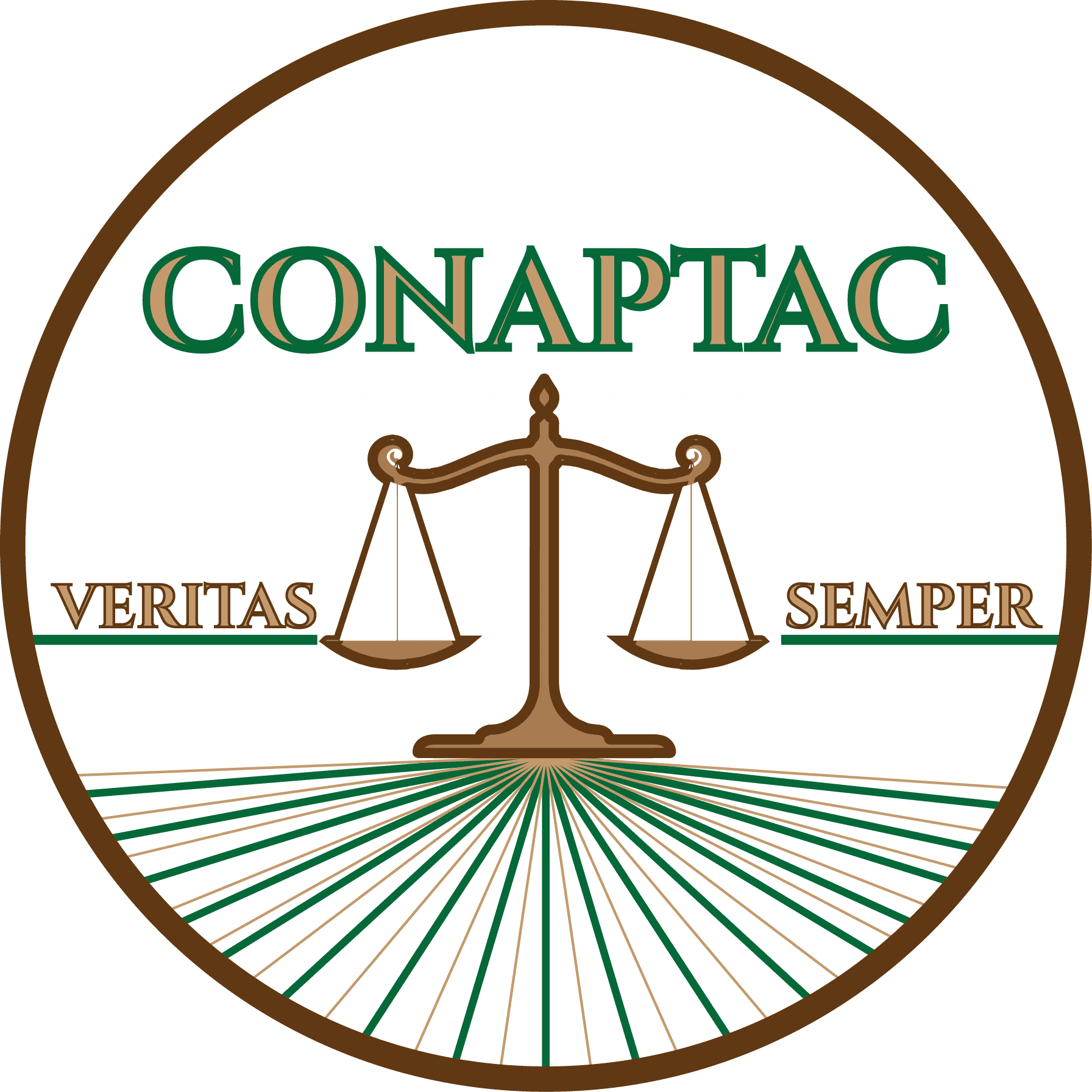 CNPT - Colegio Nacional de Peritos Topógrafos A.C.