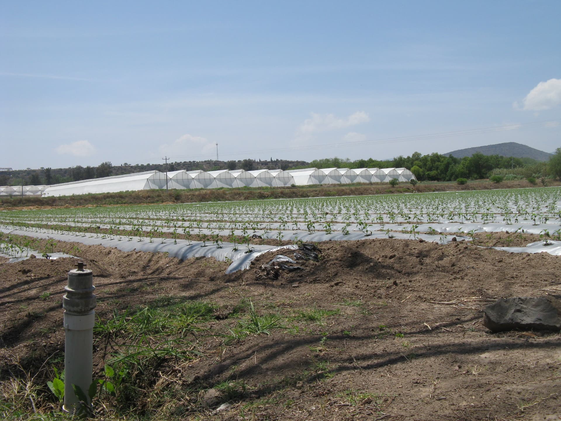 Avalúos Especiales 1