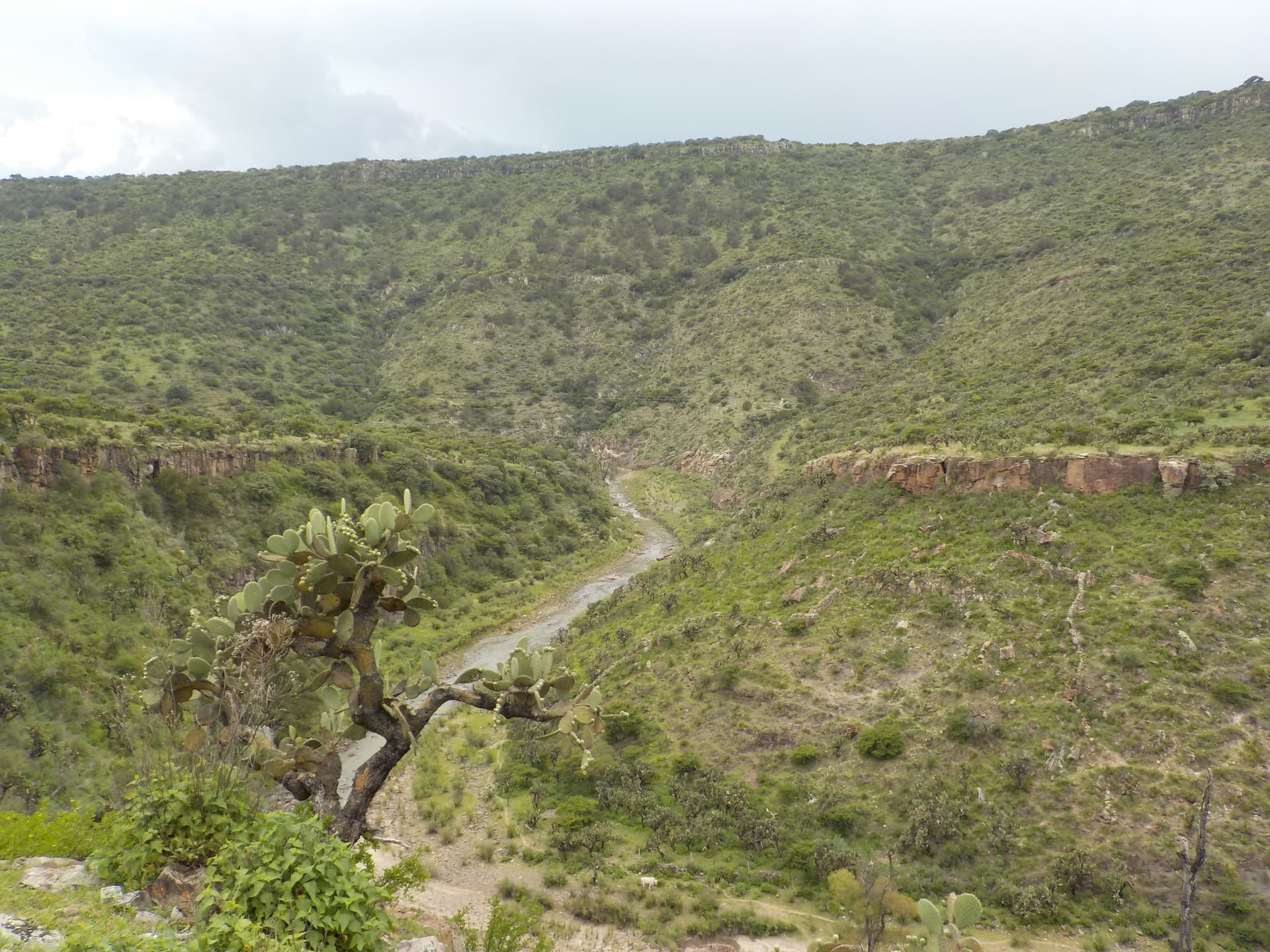 Avalúos Especiales 2