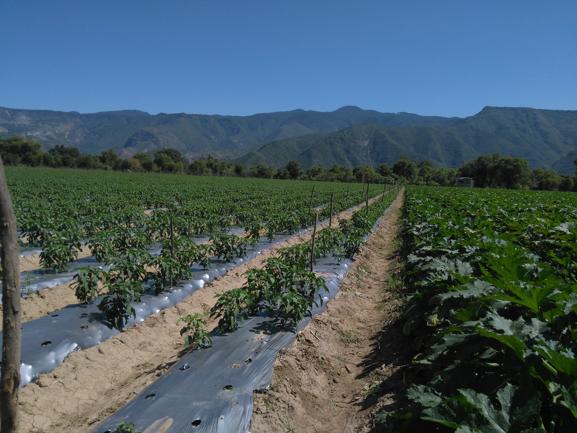 Avalúos Especiales 4